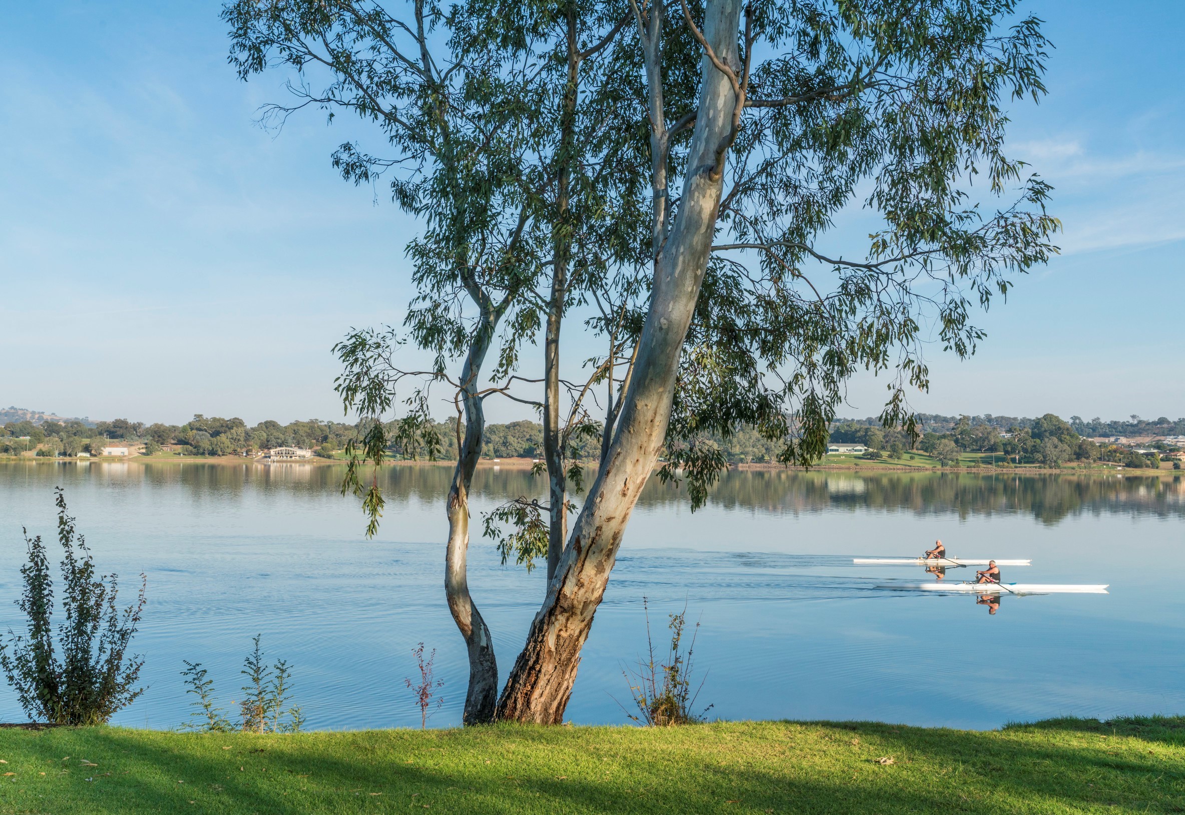 Murrumbidgee River, Wagga Wagga