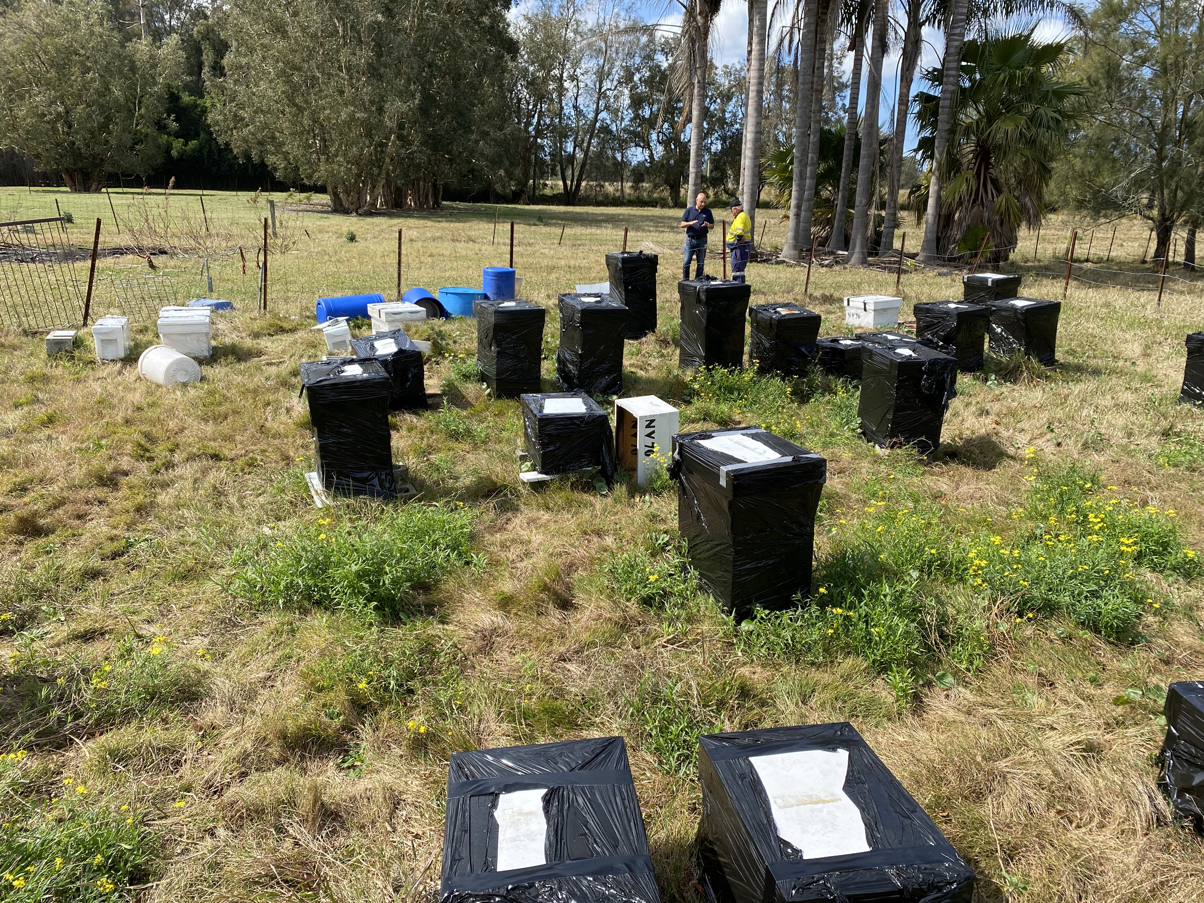 Varroa Mite Beehive Disposal 3